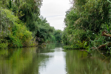 The Landscape of the Danube Delta in Romania