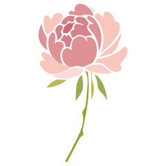 vector image of a peony. printing on fabric and paper, print.