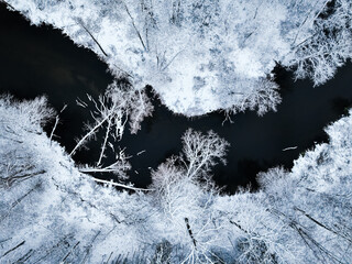 Aerial view of Brda River and snowy forest in winter. - obrazy, fototapety, plakaty
