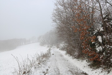 Landschaft mit Feldweg am Waldrand bei Schnee und Nebel