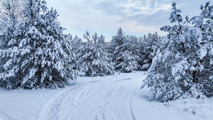 Aerial view of country road and snow-covered forest in winter.