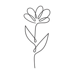 Mono line vector daisy illustration, line art flower