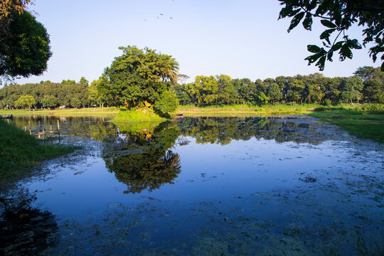 Natural landscape view Reflection of trees in the lake water against blue sky