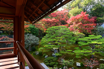 秋の滋賀県大津市の旧竹林院 名勝日本庭園
