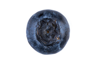 Blueberries on white background
