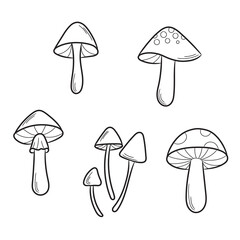 Line art vector mushroom illustration set