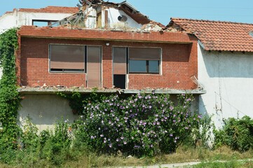 an abandoned house without a roof