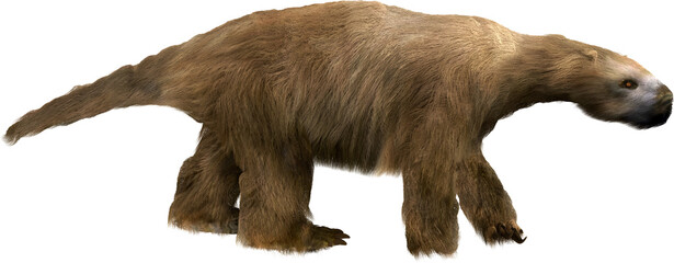 Megalonyx  Giant Ground Sloth on Transparent Background © auntspray