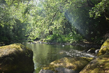 Río en primavera II