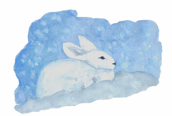 White rabbit on blue background