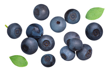 Bilberries or blueberries with leaves isolated png. Vaccinium myrtiilus fruits