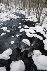 winter in the forest with stream in Estonia Õisu nature reserve