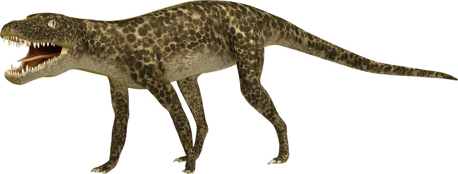 Hesperosuchus on Transparent Background (extinct reptile)