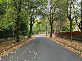 Fototapeta na wymiar View in Autumn down, Ashburnham Grove, looking toward, Lister Park in, Bradford, Yorkshire, UK