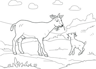 Coloring page with domestic animals. Goat Mother Baby.  Digital drawing with goat.