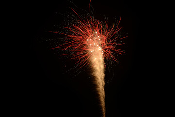 Silvester 320