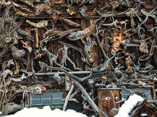 Wurzelwek an einer Scheune