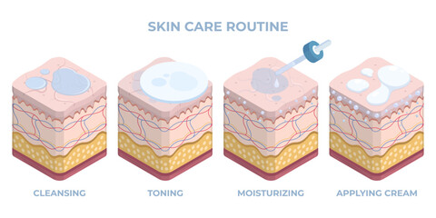 Isometric human skin care, 3d epidermis treatment. Facial skin care, cleansing, toning and hydration flat vector illustration. Dermatology skin treatment