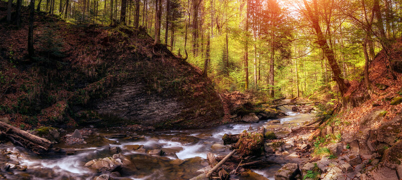 Amazing panoramic landscape mountain river in autumn forest at sunlight. View of stone water rapids and small waterfall.