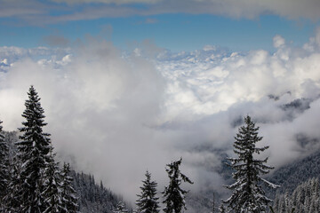 View of cloudy weather over wooded snowy slopes covered by fog and clouds. Landscape in the winter in the mountains. 