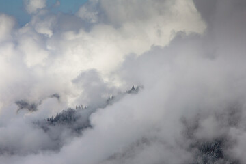 Fototapeta na wymiar View of cloudy weather over wooded snowy slopes covered by fog and clouds. Landscape in the winter in the mountains. 