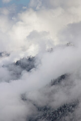 Plakat View of cloudy weather over wooded snowy slopes covered by fog and clouds. Landscape in the winter in the mountains. 