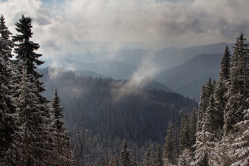 View of cloudy weather over wooded snowy slopes covered by fog and clouds. Landscape in the winter in the mountains. 