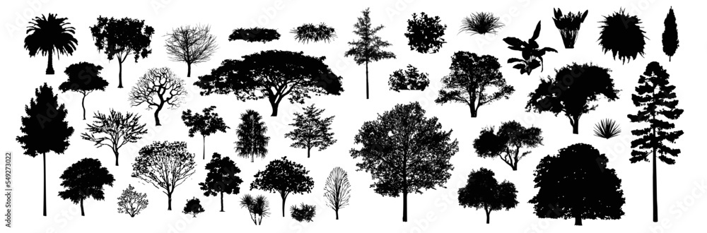 Poster Tree silhouettes, Side view black, set of graphics trees elements outline symbol for architecture and landscape design drawing. Vector illustration in stroke fill . Tropical, oak, maple, poplar, birch