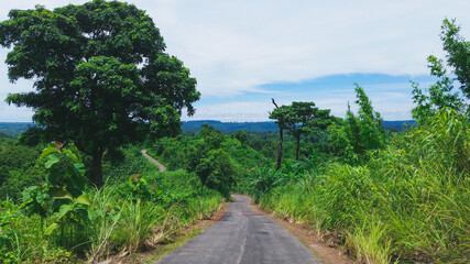 Empty mountain road or street display with nature around.Road to the great mountain at Sajek, khagrachari district, Bangladesh
