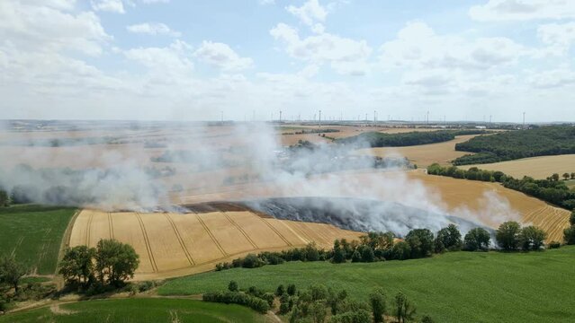 Feldbrand im D&uuml;rre-Sommer
