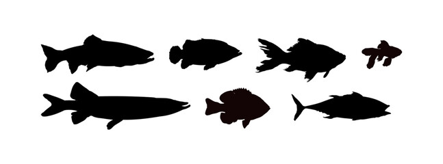set of fish silhouettes
