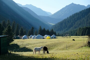 Two sheep on mountain meadow 
and camp with traditional nomad's yurts in background. Green Tien...