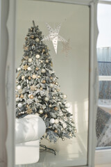 reflection of a newly planted Christmas tree in the mirror
