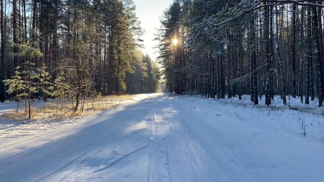 winter landscape with a road in the forest on a sunny day.