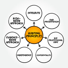 Auditing principles mind map text concept for presentations and reports