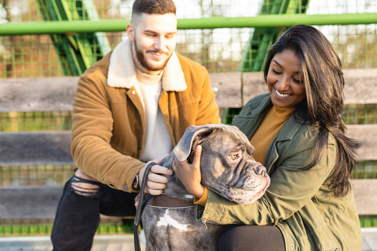 Happy multiethnic couple walking in the city and embracing their dog in a winter day.