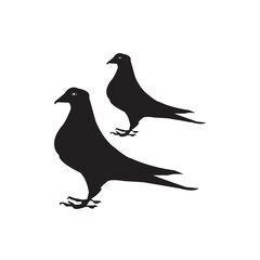 dove icon