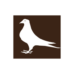 dove icon