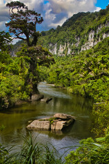 Fototapeta na wymiar The Pororari River Gorge, in the dense rainforest of the karst mountains of Paparoa National Park, West Coast, South Island, New Zealand. 