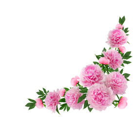 floral wreath, floral arrangement of pink lush peonies, isolated on a white background