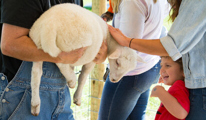 People Petting a Lamb with Boy Smiling
