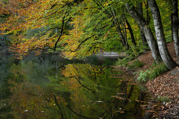 Autumn Season Reflections in the Yedigoller National Park, Yedigoller Lake Bolu, Turkey