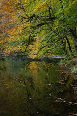 Fototapeta na wymiar Autumn Season Reflections in the Golcuk National Park, Golcuk Lake Bolu, Turkey