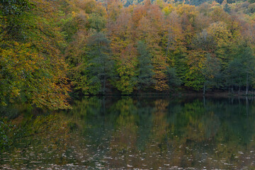 Autumn Season Reflections in the Yedigoller National Park, Yedigoller Lake Bolu, Turkey