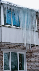 Layer of ice and snow formed above balcony. Selective focus on icicles. Many long and dangerous icicles hanging from roof of house to roof balcony in cold winter.