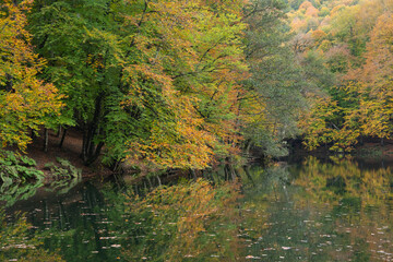 Autumn Season Reflections in the Yedigoller National Park, Yedigoller Lake Bolu, Turkey