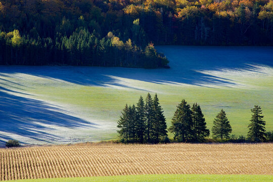 Frosty morning on hillside and fields, Millvale, Prince Edward Island, Canada