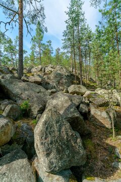 Vertical shot of stones in a forest on a sunny day