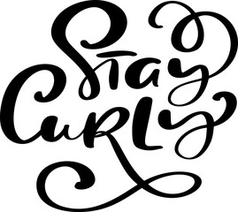 Stay Curly vector calligraphic vintage motivation text. Quote about naturally wavy or curly hairs. Curly girl method. Poster postcard, sticker card