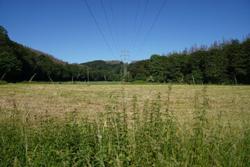 Stromtrassen in der Landschaft